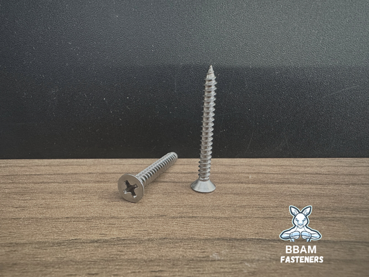 8G x 25mm Csk Phillips Self Tapping Screw Gr 316 SS