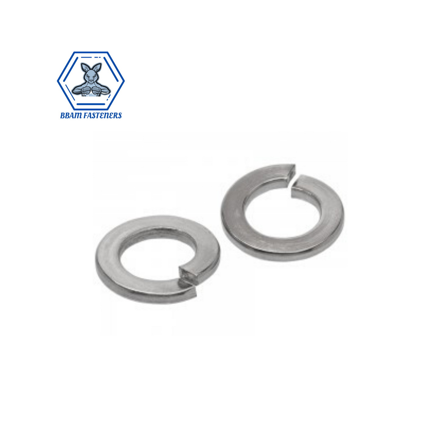 M8 Spring Washer 304 Stainless Steel